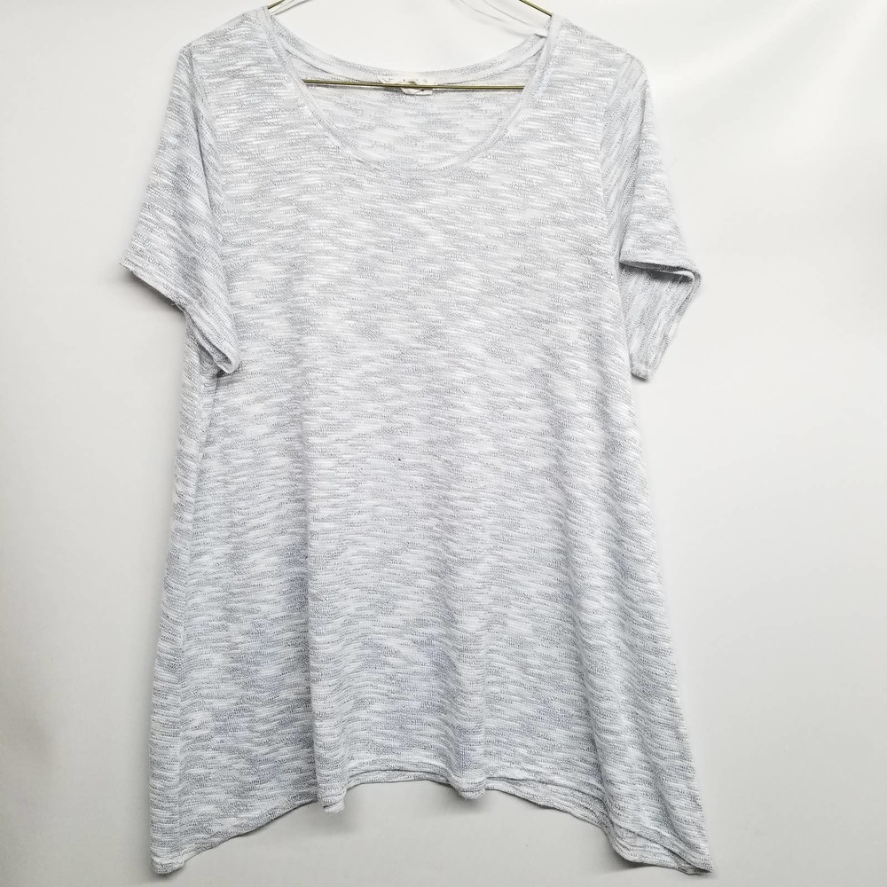 Cloudchaser speckled blue shortsleeve top 3X